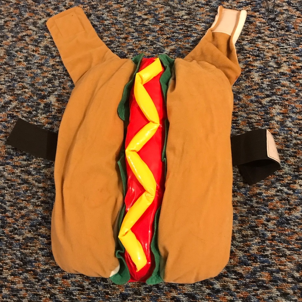 Large hot dog, dog Halloween costume